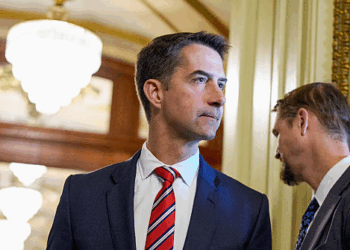 Sen. Cotton Calls Schumer a 'Disgrace' for Prolonging Shutdown to Feed His 'Deranged Hatred' of Trump
