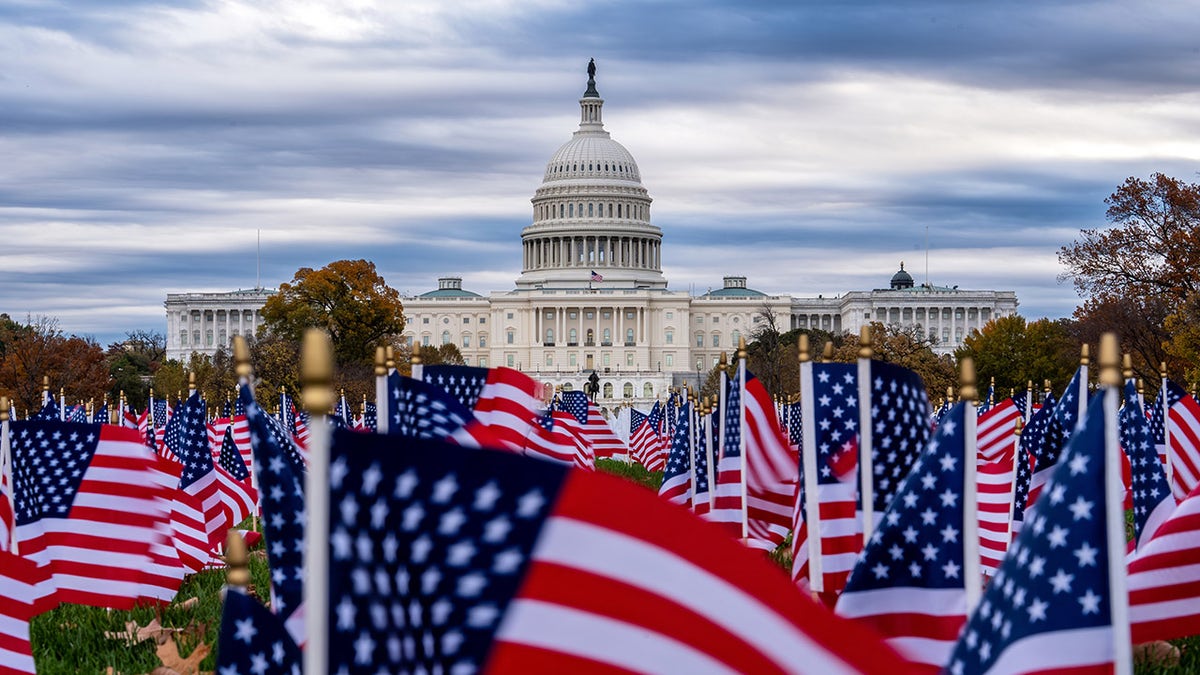 U.S. Capitol building with American flags in the foreground.