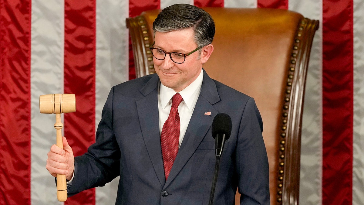 House Speaker Mike Johnson with a gavel