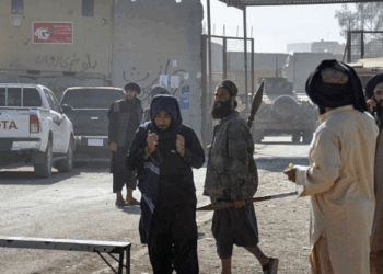 Taliban Minister Arrives in New Delhi Seeking Trade and Investments in India