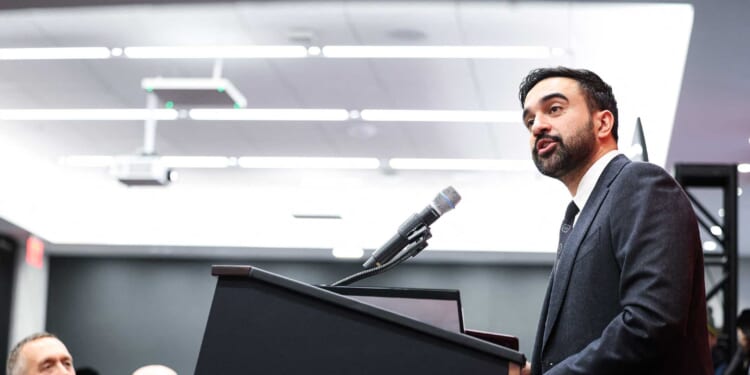 The DSA Just Won Big, But Its Members Can’t Stop Fighting About Mamdani