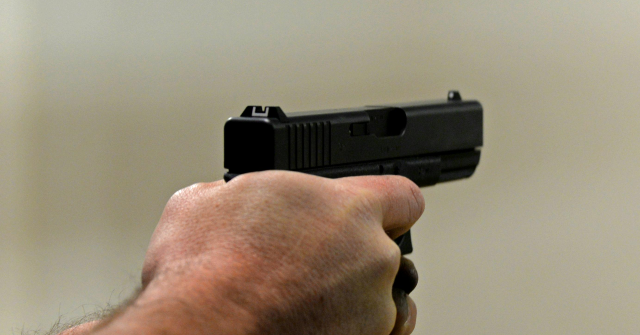 Three Shot During Black Friday Attack at Shopping Mall in Gun-Controlled California