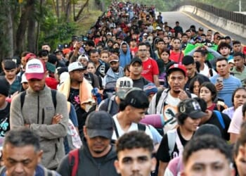 Treasury Dept. Issues Rule to Prevent Illegals from Securing Income Tax Credits