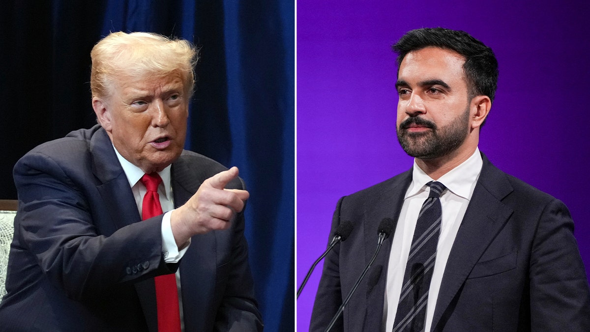 President Donald Trump and New York City mayoral candidate Zohran Mamdani have traded barbs throughout the 2025 campaign.