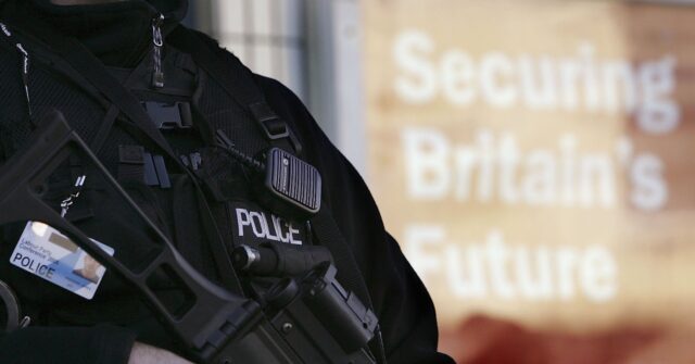 UK Man Arrested over LinkedIn Picture of Himself Holding Gun in Florida