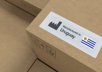 Quest for Renewable Energy