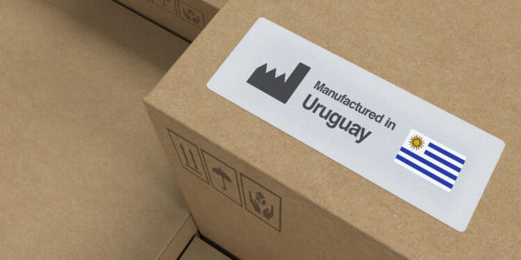 Quest for Renewable Energy