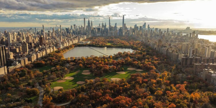 Will Mamdani Really Be Able to Freeze the Rent?