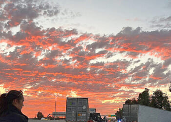 #1 Hub for Illegal CDL Licensing — Safety Crisis Ignites Federal Fury