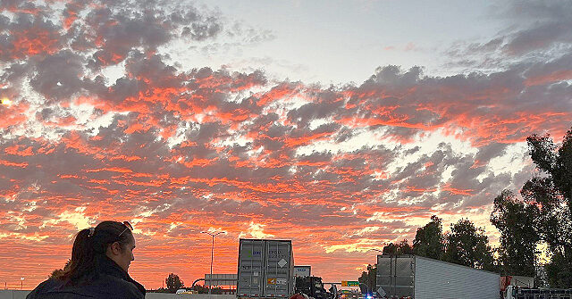 #1 Hub for Illegal CDL Licensing — Safety Crisis Ignites Federal Fury