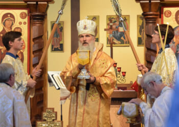 A Look at the Numbers – Catholic World Report