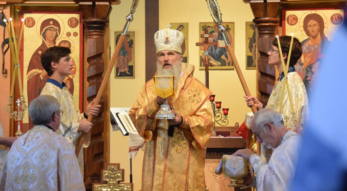 A Look at the Numbers – Catholic World Report