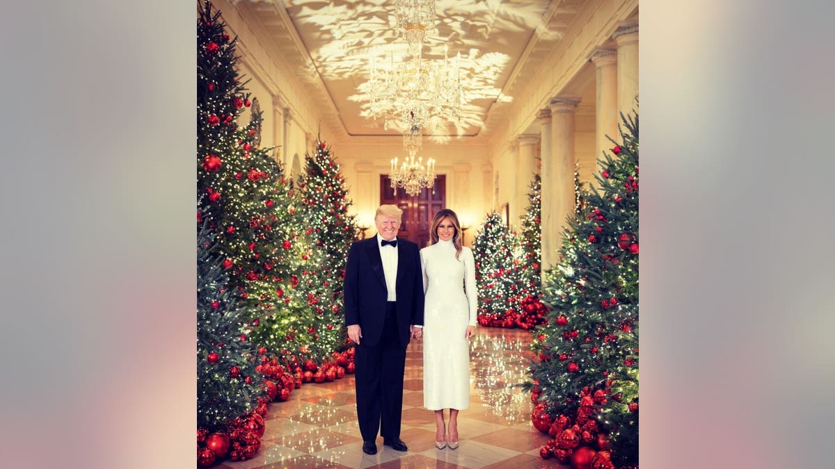 Every year, the first lady — regardless of whether the president is a Republican or Democrat — enjoys the annual tradition of transforming the White House into a winter wonderland.
