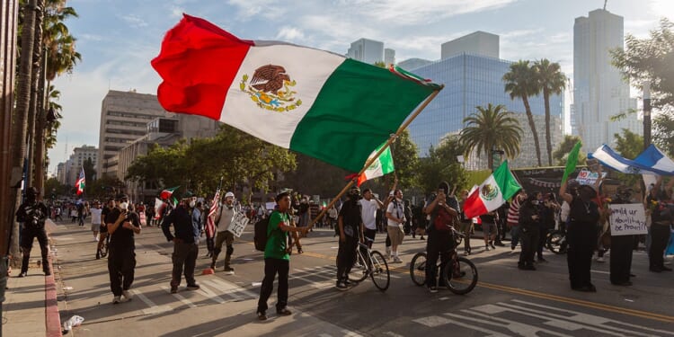 Elite war on ‘Americanization’ is fueling immigration crisis, expert warns