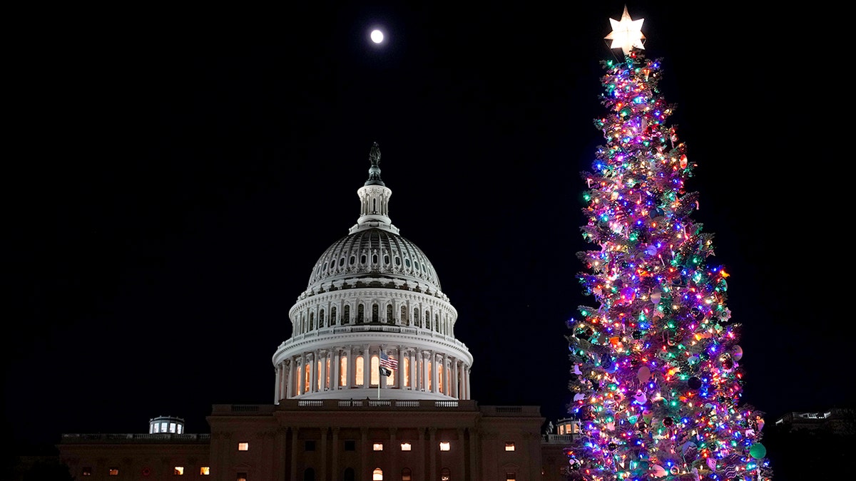 Christmas tree outside of U.S. Capitol building