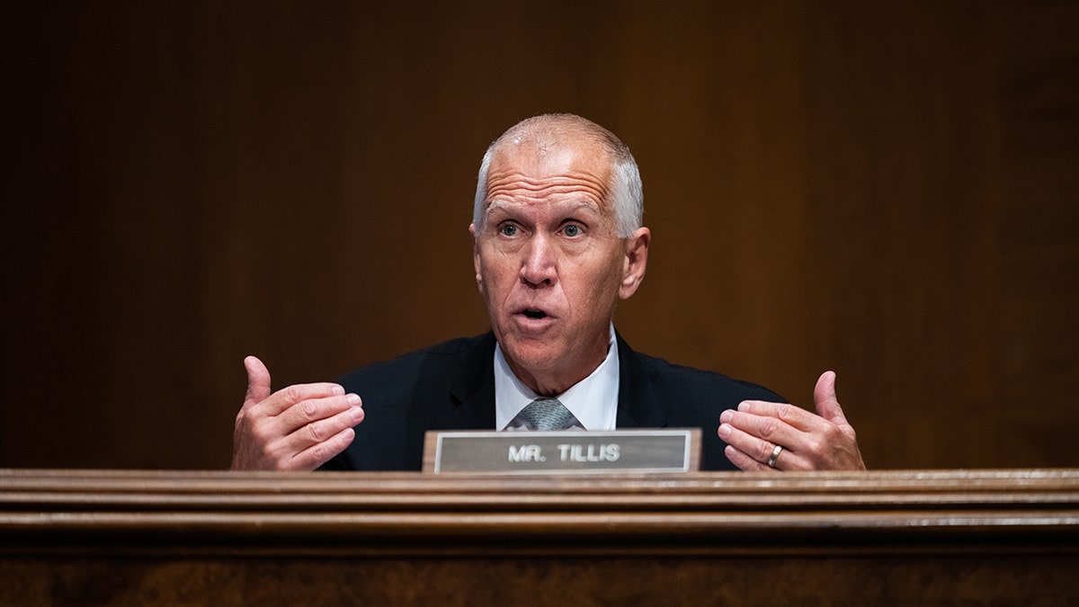 Tillis during Senate hearing
