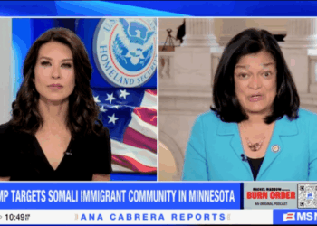 Pramila Jayapal Thinks Everyone In The World Built America Except Americans