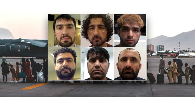 ICE arrests Afghan nationals with criminal records released into US under Biden