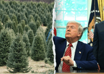 Trump admin unveils holiday affordability plan with $1 trees, cheaper firewood