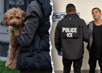 ICE arrests illegal immigrant from Azerbaijan with multiple convictions