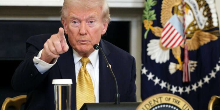 Trump crushes 'obnoxious' reporter at White House briefing: 'It's always the same thing with you!'