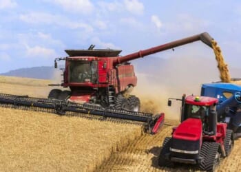 Trump gives American farmers $12 billion boost to overcome inflation, trade wars