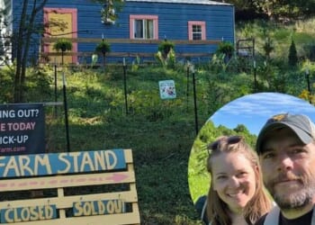 Trading cubicles for crops: One couple's 'Exit' from the corporate grind