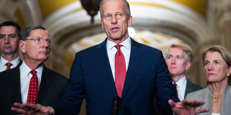 Senate GOP unites behind HSA alternative to Obamacare subsidies as Thursday showdown looms