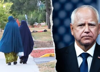 Fear of being called 'racist' was key factor in Minnesota’s fraud scandal, expert reveals