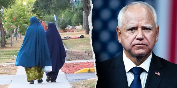 Fear of being called 'racist' was key factor in Minnesota’s fraud scandal, expert reveals