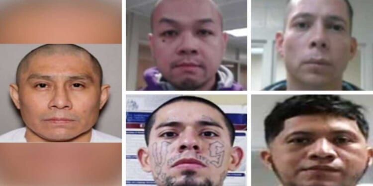 ICE locks up pedophiles, other violent illegal aliens as DHS launches ‘worst of the worst’ searchable site