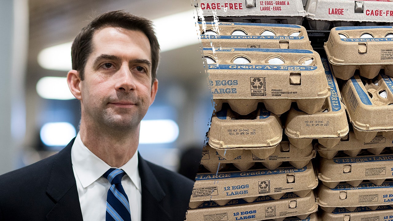 Cotton bill aims to lower egg prices as affordability pressures hit households