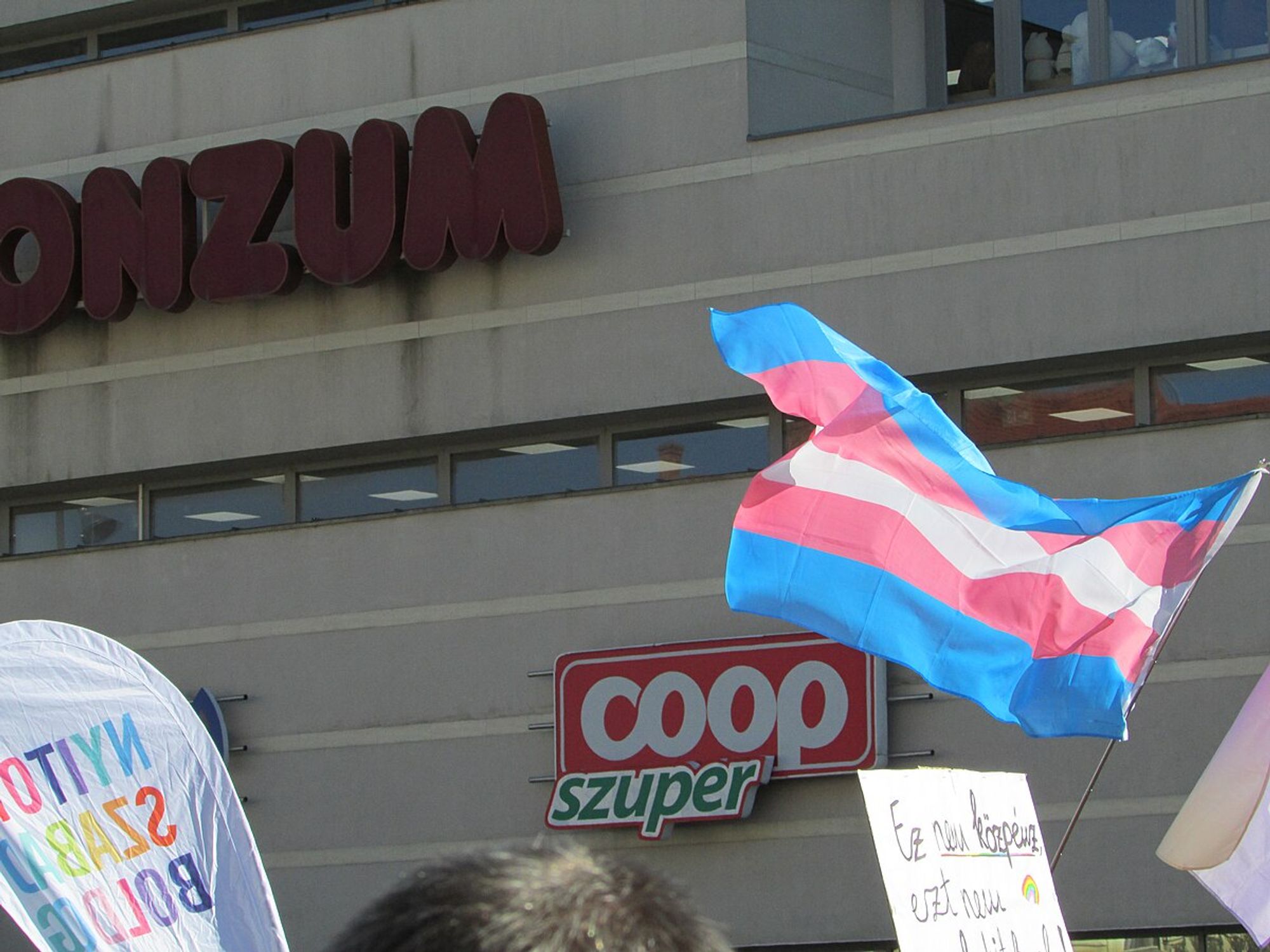 D.C. Appeals Court Upholds Trump’s Prohibition On ‘Trans’ Soldiers In The Military