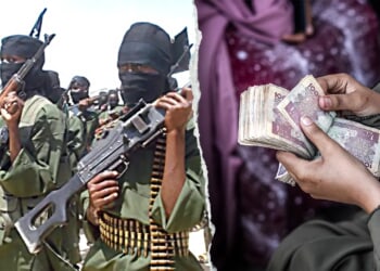 Minnesota welfare fraud probe targets Somali hawala money transfers