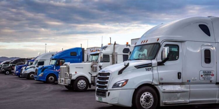 Trump’s DOT claims 53% of New York’s non-domiciled CDLs were issued illegally