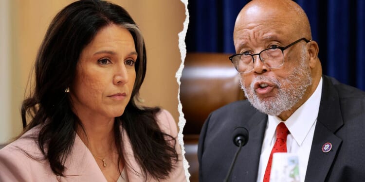 Tulsi Gabbard slams Thompson for calling Guard shooting 'unfortunate accident'