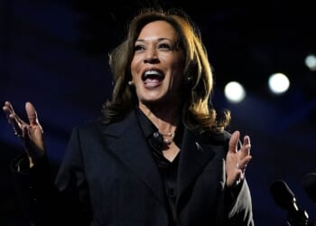 Harris thanks supporters for defending democracy at DNC winter meeting