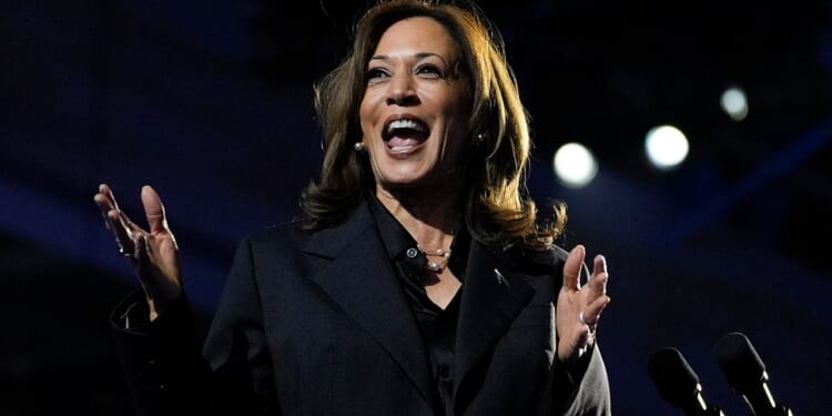 Harris thanks supporters for defending democracy at DNC winter meeting