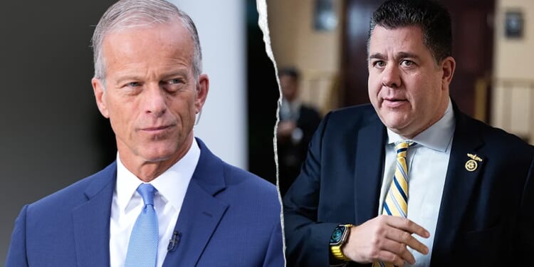 Senate healthcare action unlikely in 2025, majority leader Thune says