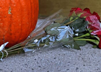 Prominent MIT professor — reportedly Jewish, pro-Israel — shot to death in his home; no suspect in custody