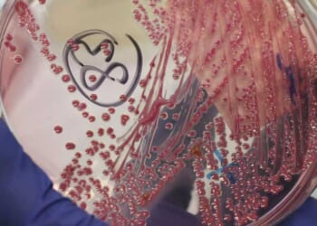 Another Chinese researcher busted for allegedly smuggling crop-harming biomaterial into America