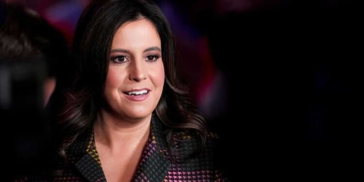 'Unnecessary and protracted': Elise Stefanik drops out of New York governor's race