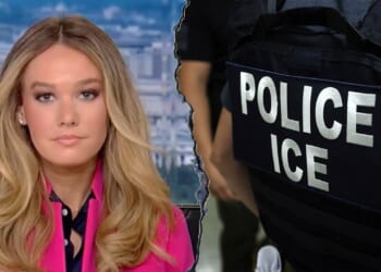 DHS accuses Senate Democrats of twisting data to 'smear ICE'