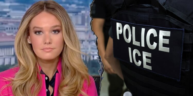 DHS accuses Senate Democrats of twisting data to 'smear ICE'