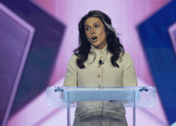 DNI Gabbard warns of Islamist ideology at TPUSA AmericaFest conference