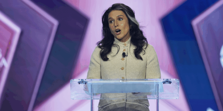 DNI Gabbard warns of Islamist ideology at TPUSA AmericaFest conference