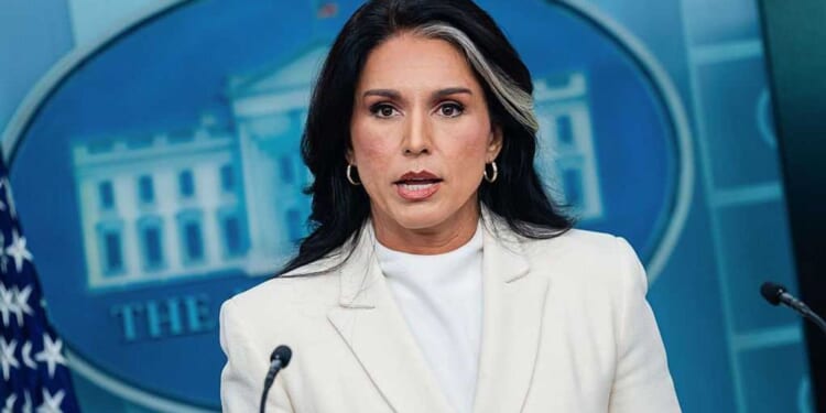 Tulsi Gabbard warns: Powerful foreign allies eager to pull US into war with Russia