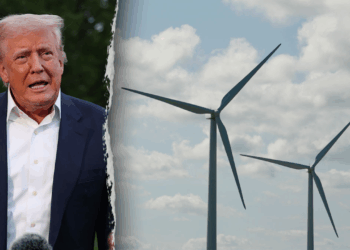 President Trump pauses offshore wind projects over national security risks