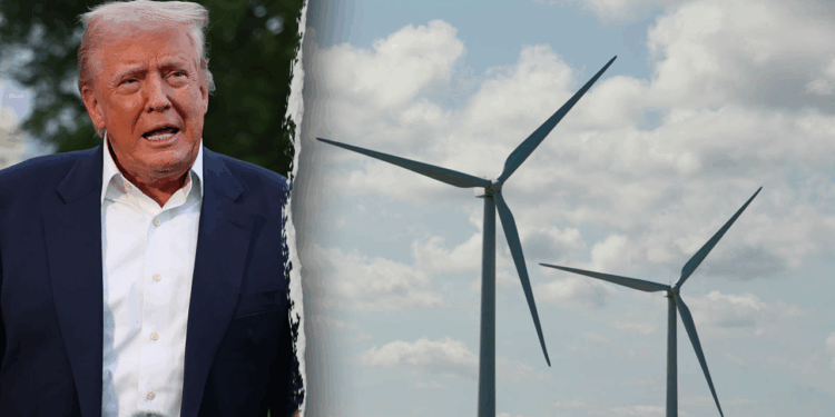 President Trump pauses offshore wind projects over national security risks