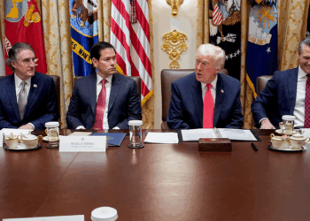 Conservatives reveal true feelings on Trump admin and cabinet members